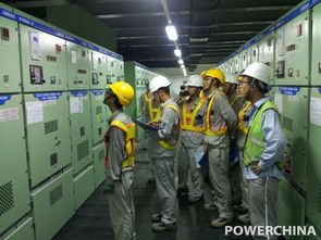 卡西姆港燃煤电站2号机组厂用电倒送电一次成功
