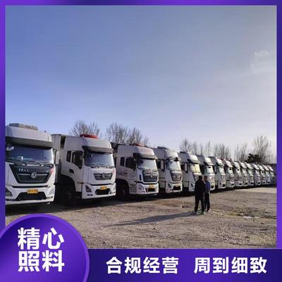 滁州与湖州长兴猪运输合作推动区域产业链发展