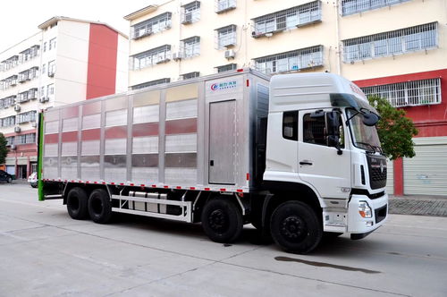 滁州运输 秦皇岛生猪运输车专业厂家选择指南