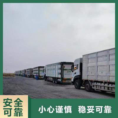 滁州与湖州长兴 生猪运输合作的繁荣纽带